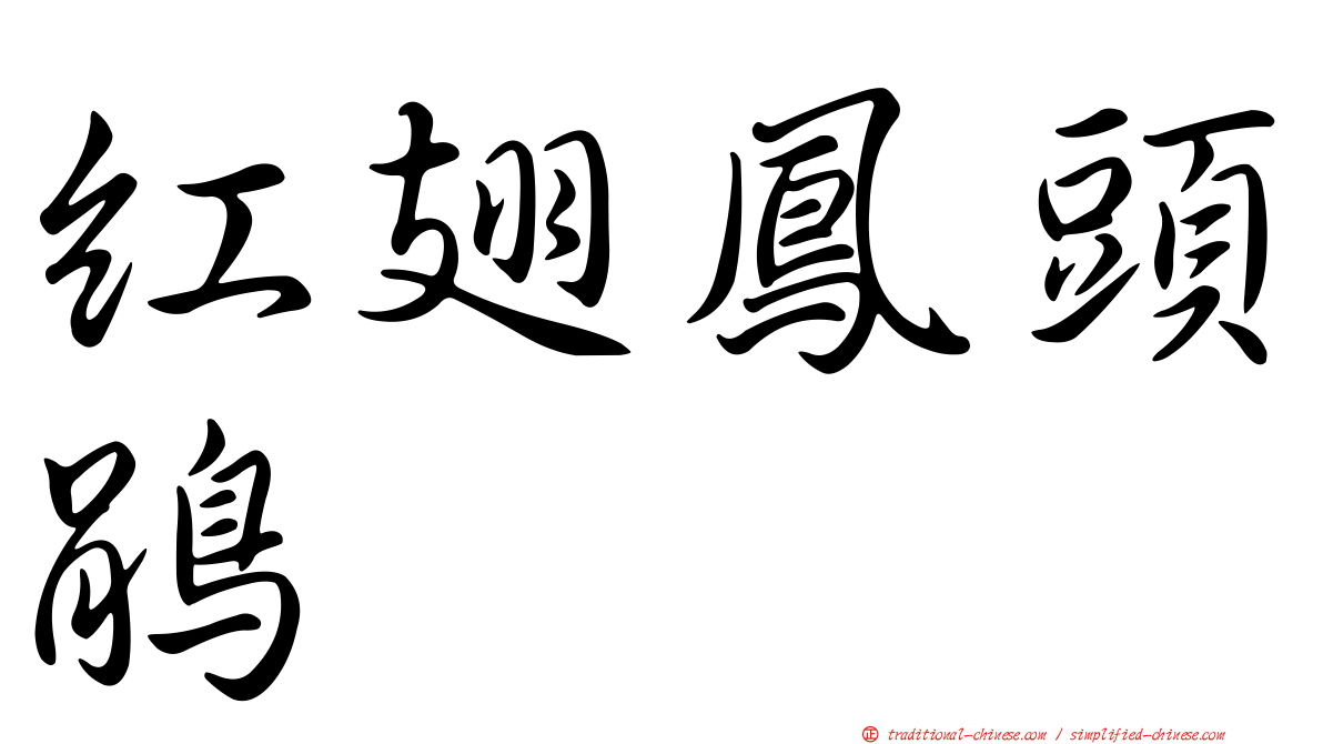 紅翅鳳頭鵑