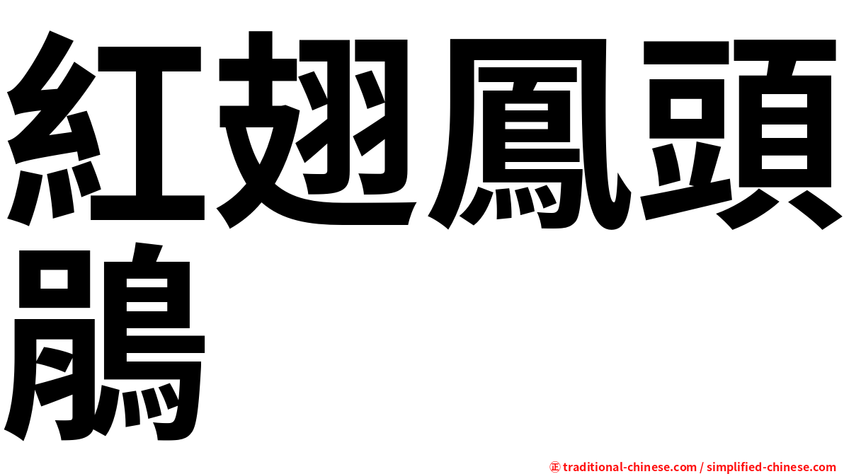 紅翅鳳頭鵑