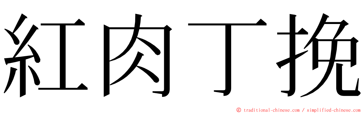 紅肉丁挽 ming font