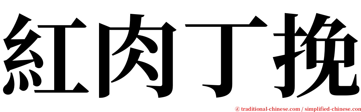 紅肉丁挽 serif font