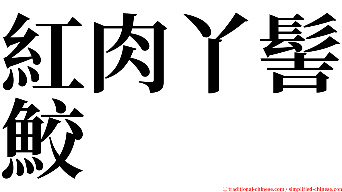紅肉丫髻鮫 serif font