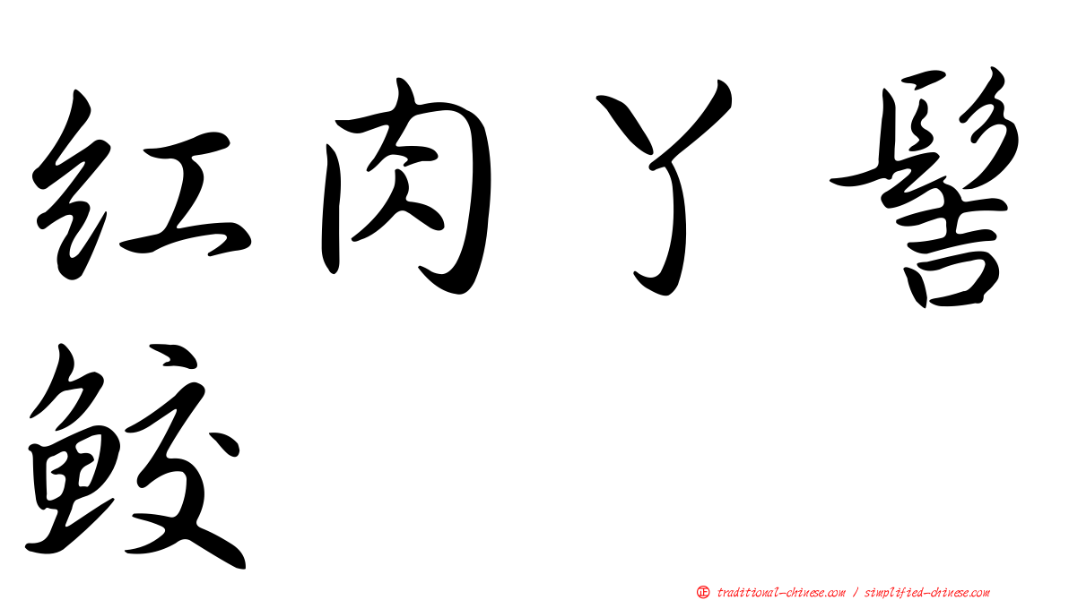紅肉丫髻鮫