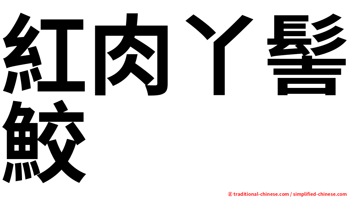 紅肉丫髻鮫