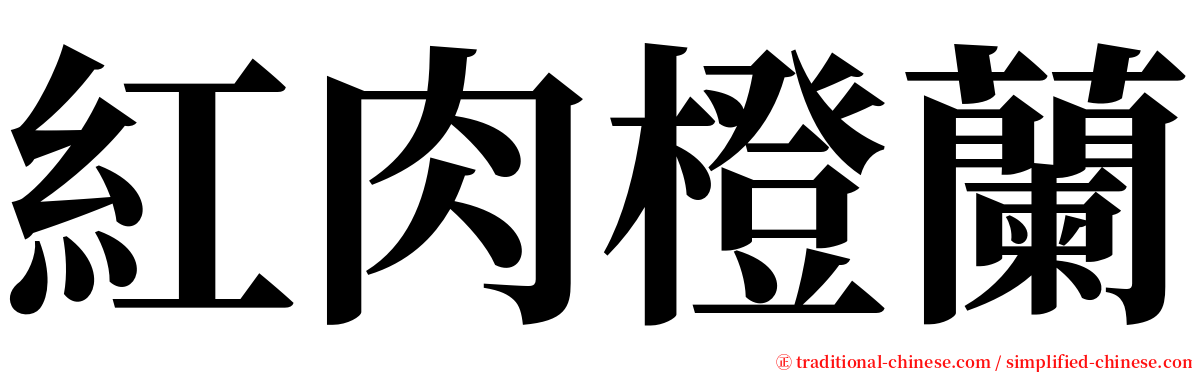 紅肉橙蘭 serif font