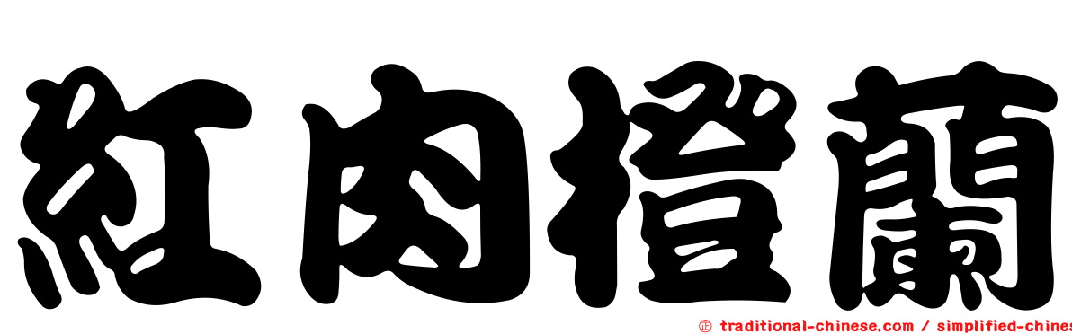 紅肉橙蘭
