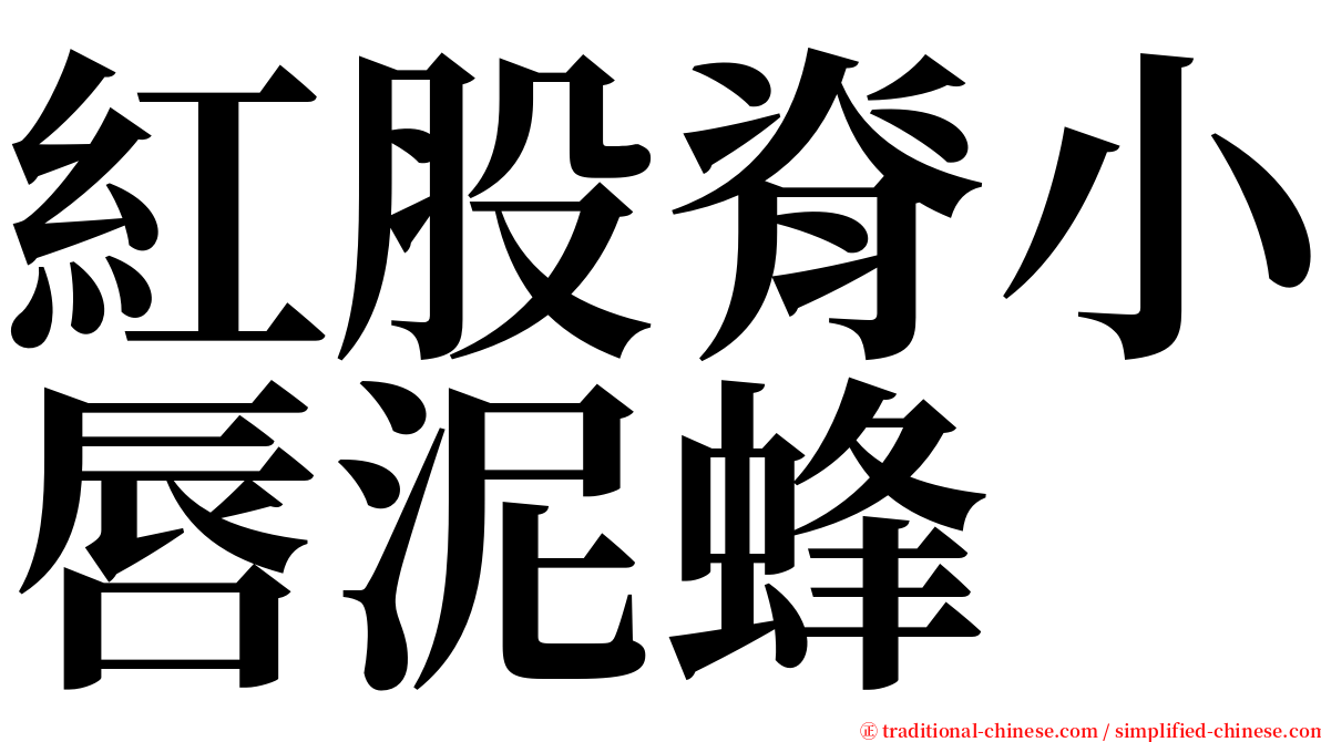 紅股脊小唇泥蜂 serif font