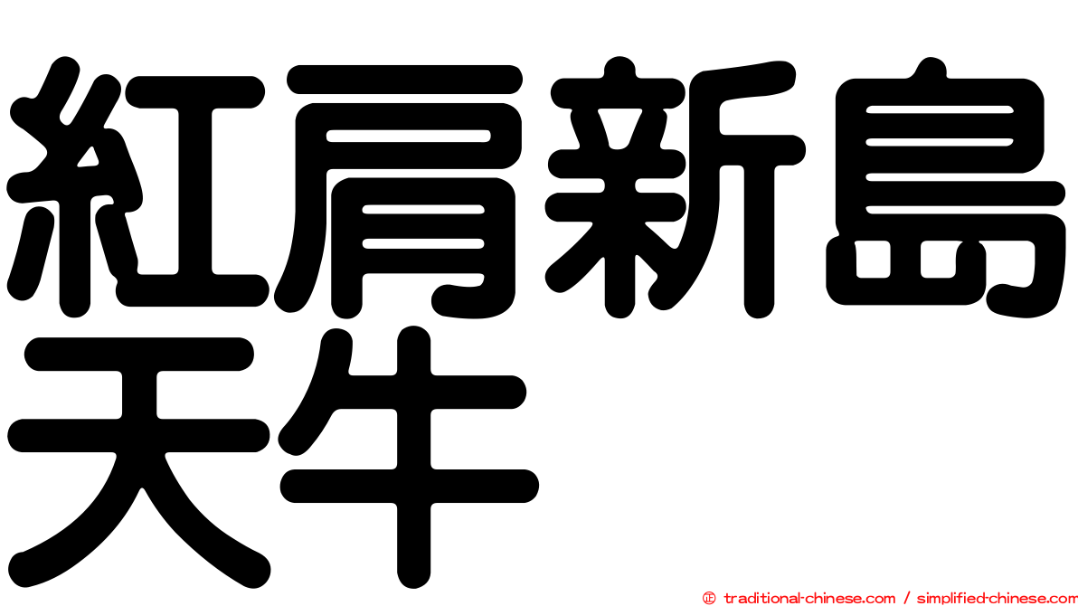 紅肩新島天牛