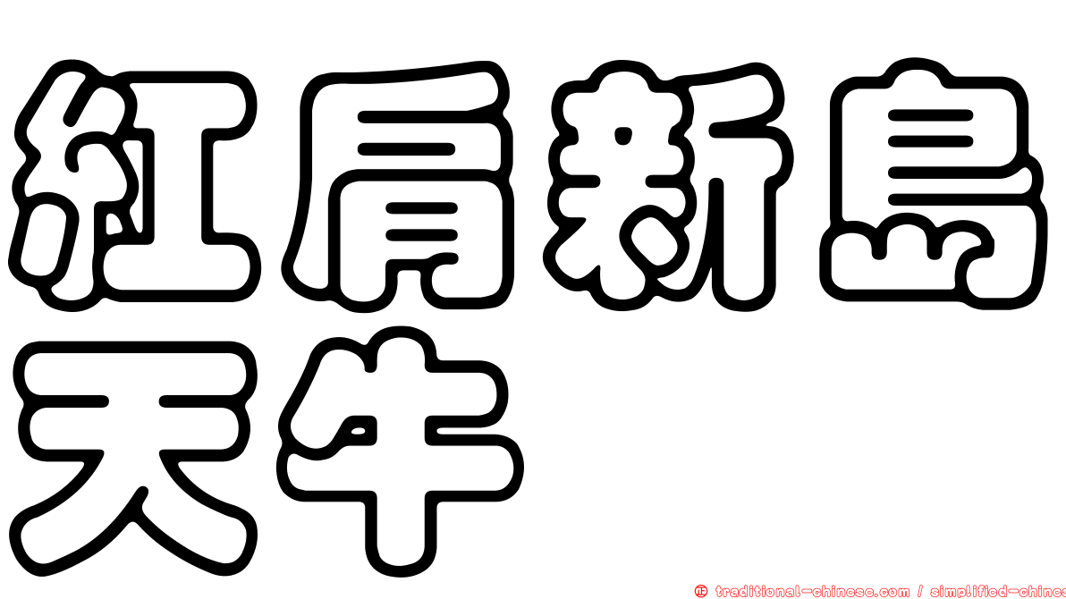 紅肩新島天牛