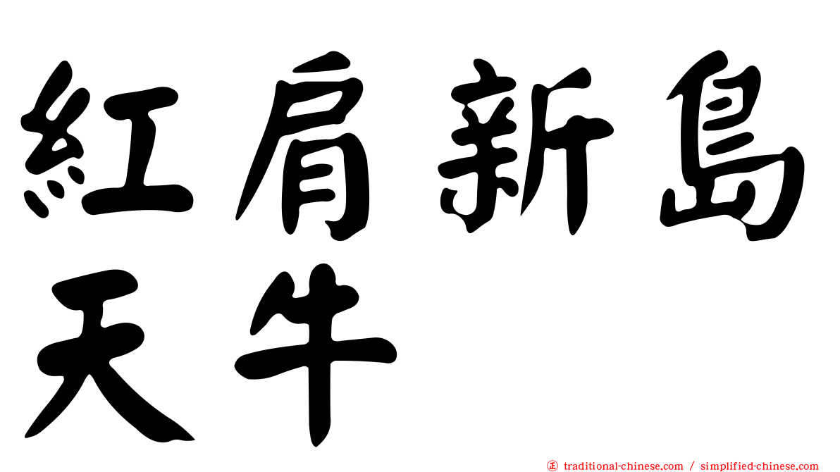 紅肩新島天牛