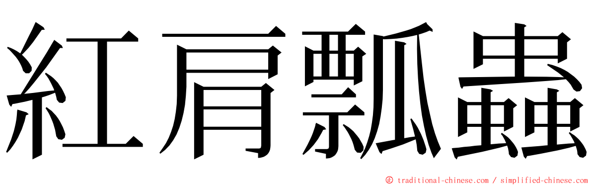 紅肩瓢蟲 ming font