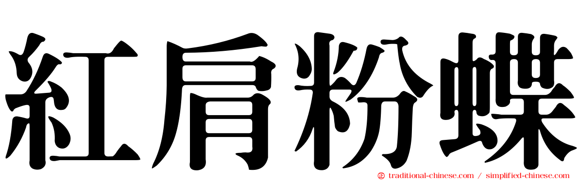 紅肩粉蝶