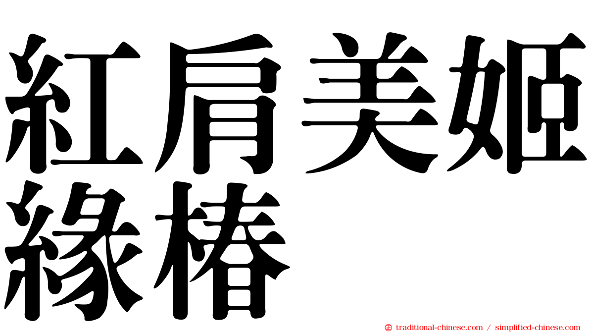 紅肩美姬緣椿