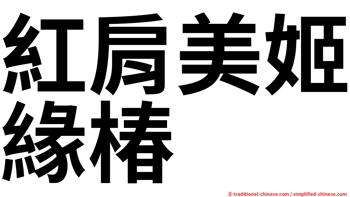 紅肩美姬緣椿