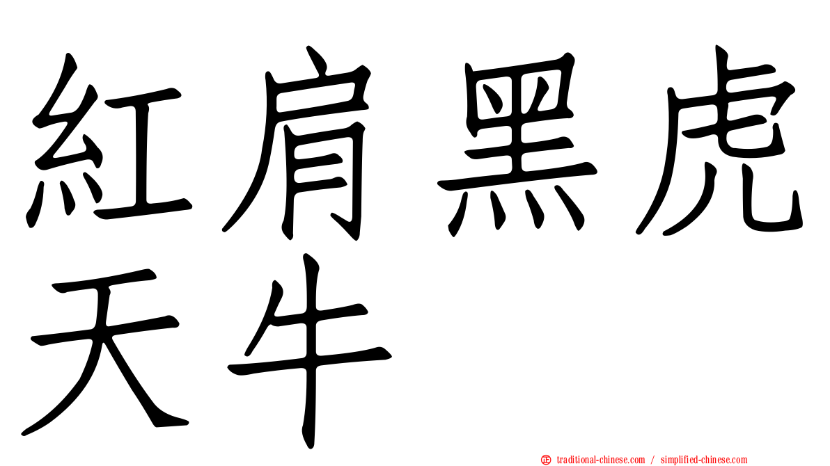 紅肩黑虎天牛