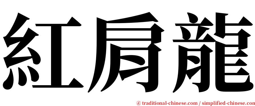 紅肩龍 serif font