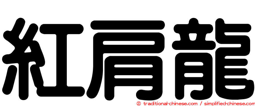 紅肩龍