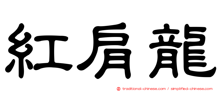 紅肩龍