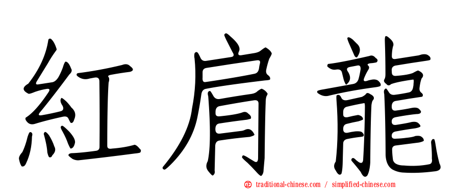 紅肩龍