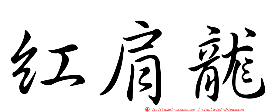 紅肩龍