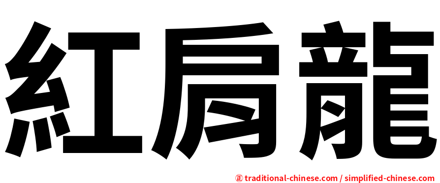 紅肩龍