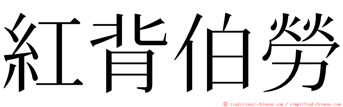 紅背伯勞 ming font