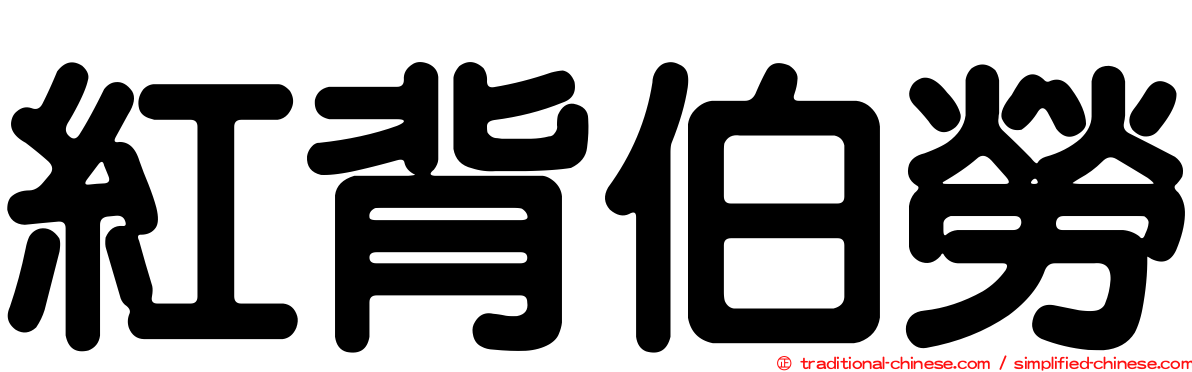 紅背伯勞