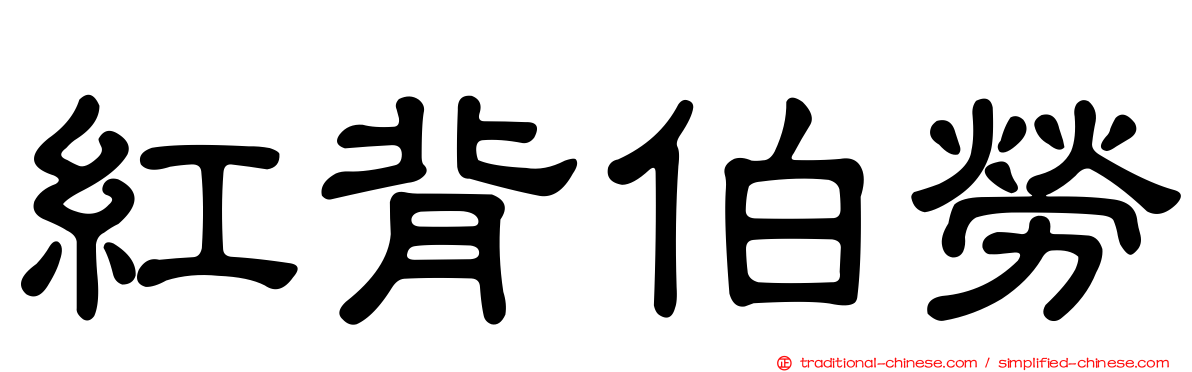紅背伯勞