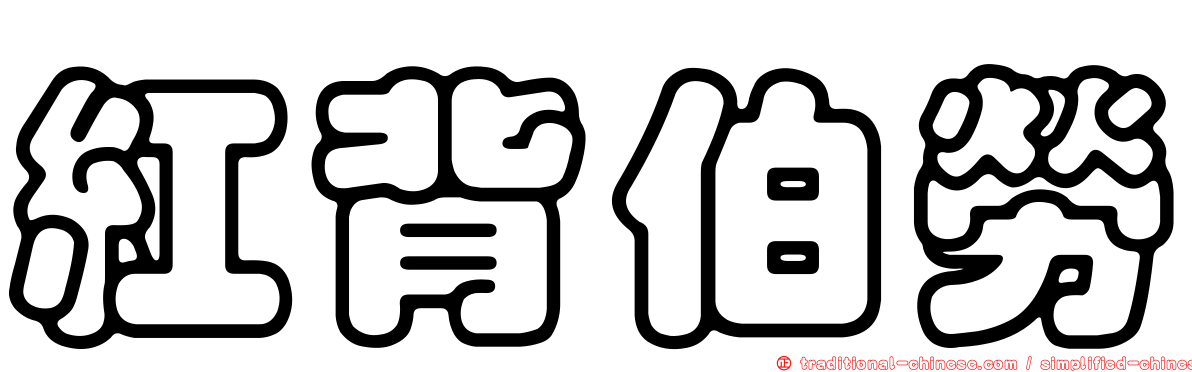 紅背伯勞