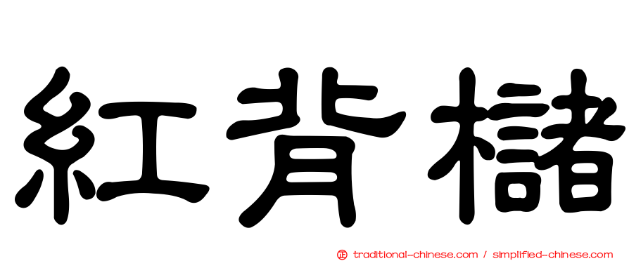 紅背櫧