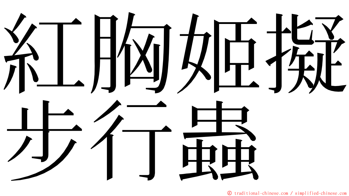 紅胸姬擬步行蟲 ming font