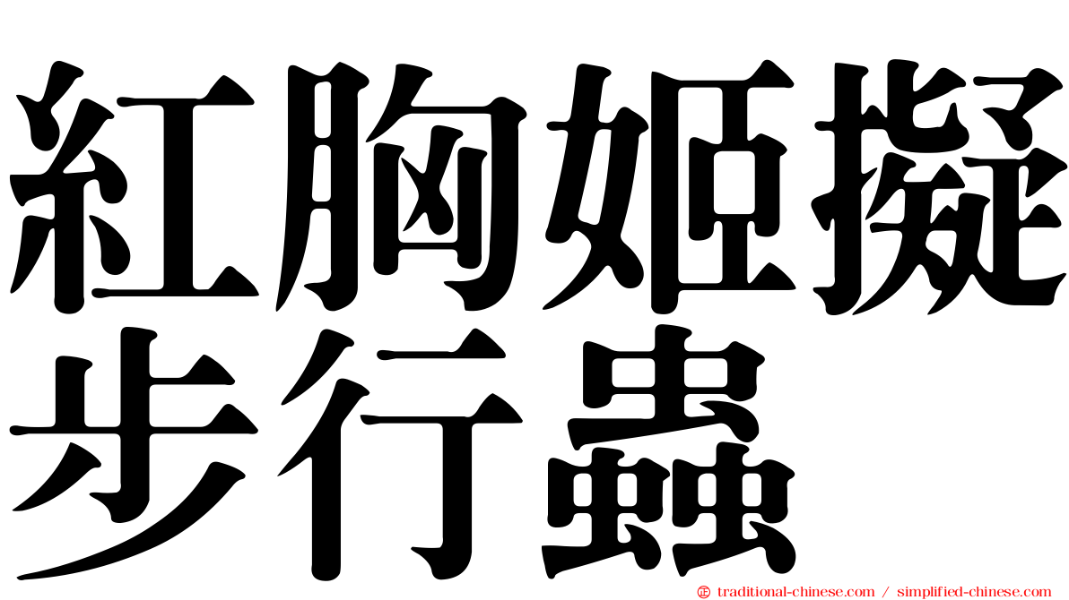 紅胸姬擬步行蟲