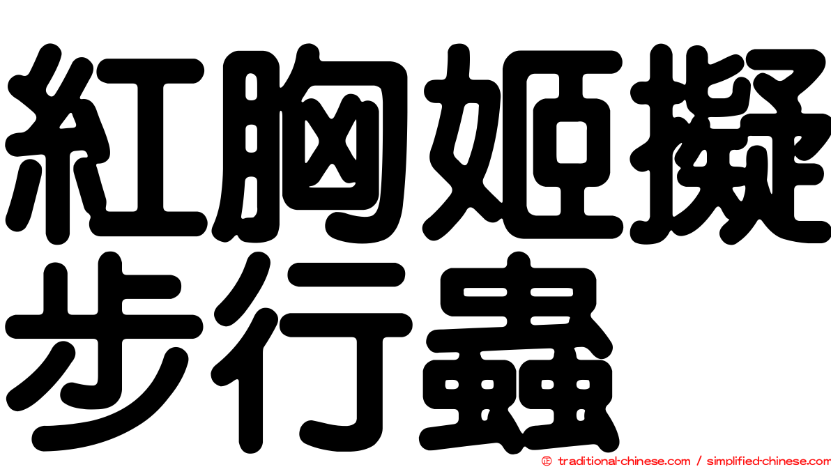紅胸姬擬步行蟲