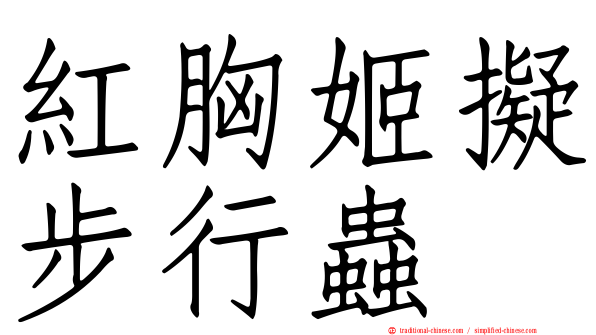 紅胸姬擬步行蟲