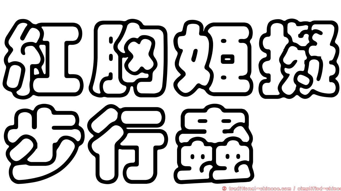 紅胸姬擬步行蟲