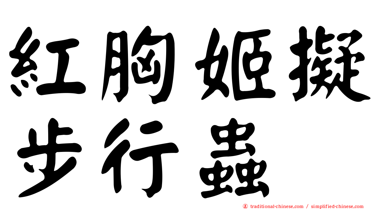 紅胸姬擬步行蟲