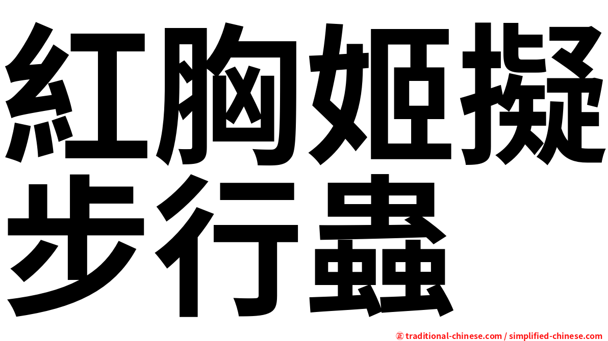 紅胸姬擬步行蟲