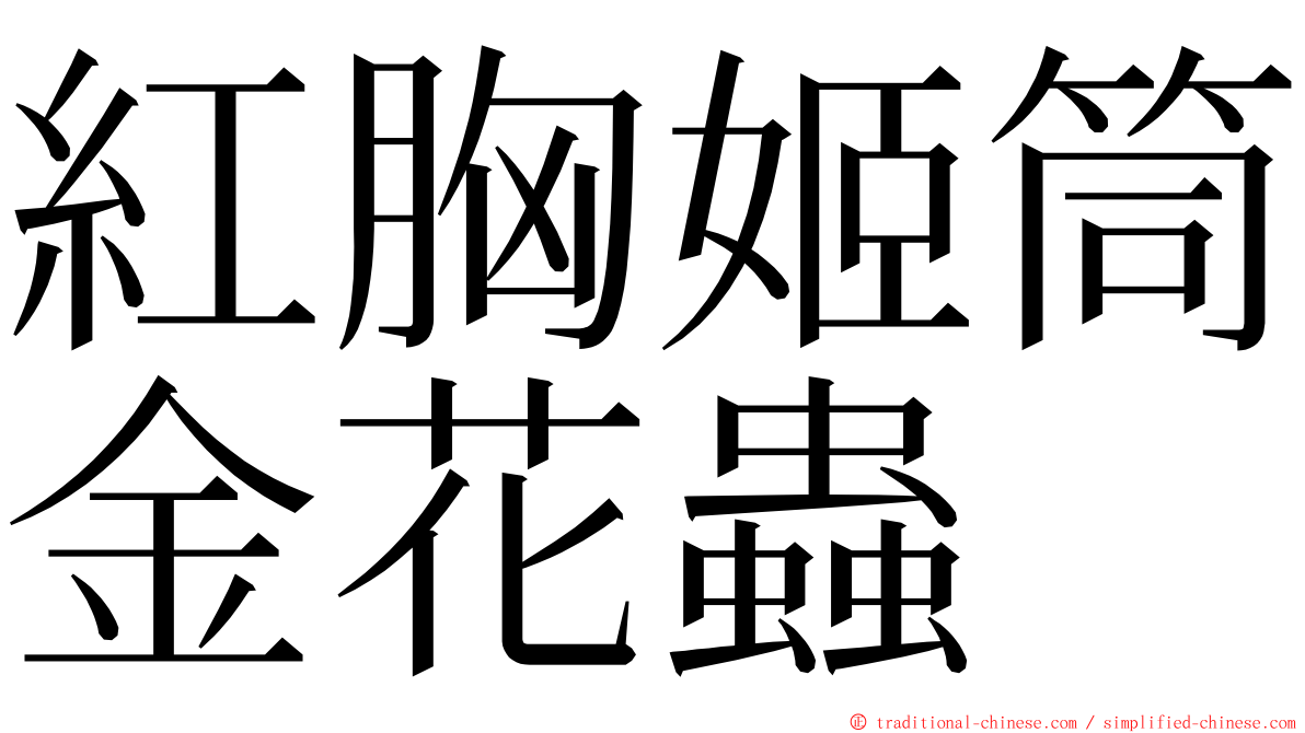 紅胸姬筒金花蟲 ming font
