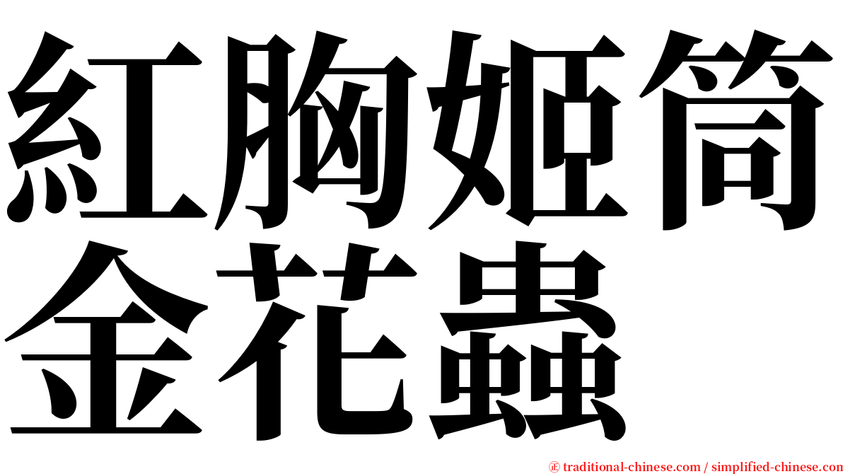 紅胸姬筒金花蟲 serif font