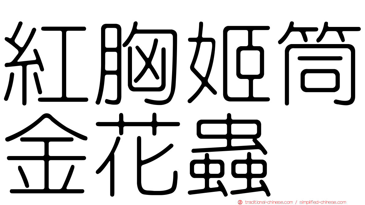 紅胸姬筒金花蟲