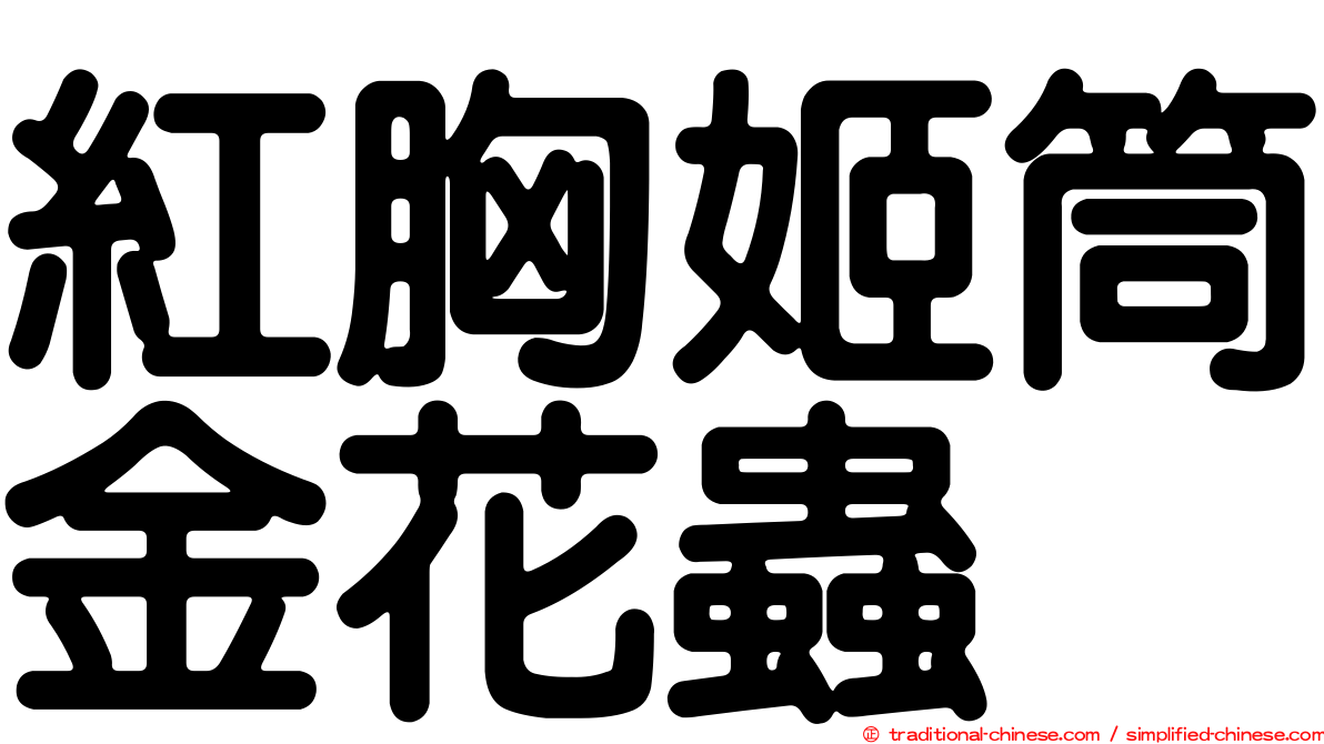紅胸姬筒金花蟲