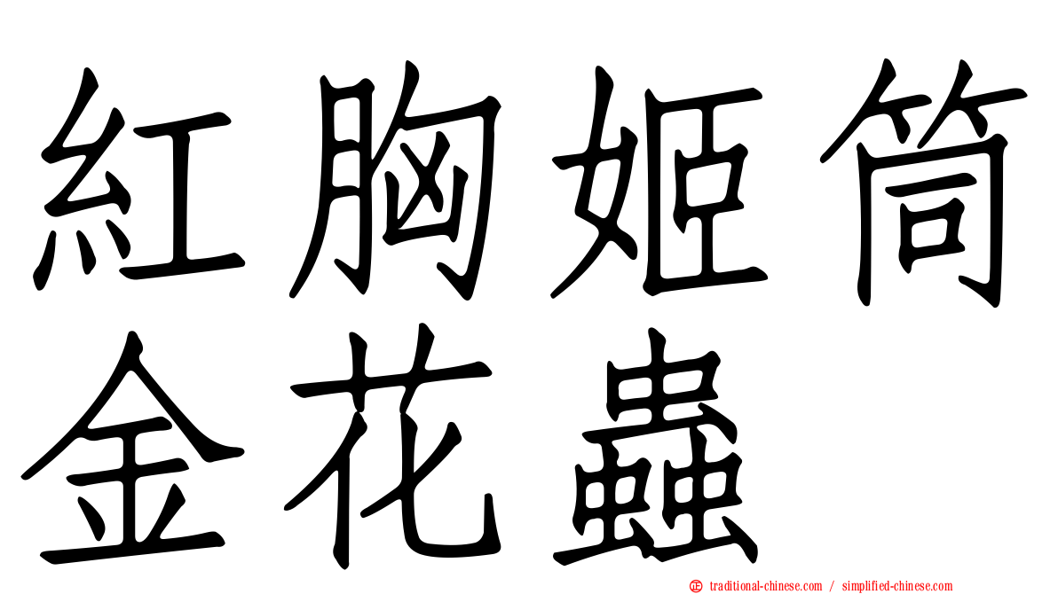 紅胸姬筒金花蟲