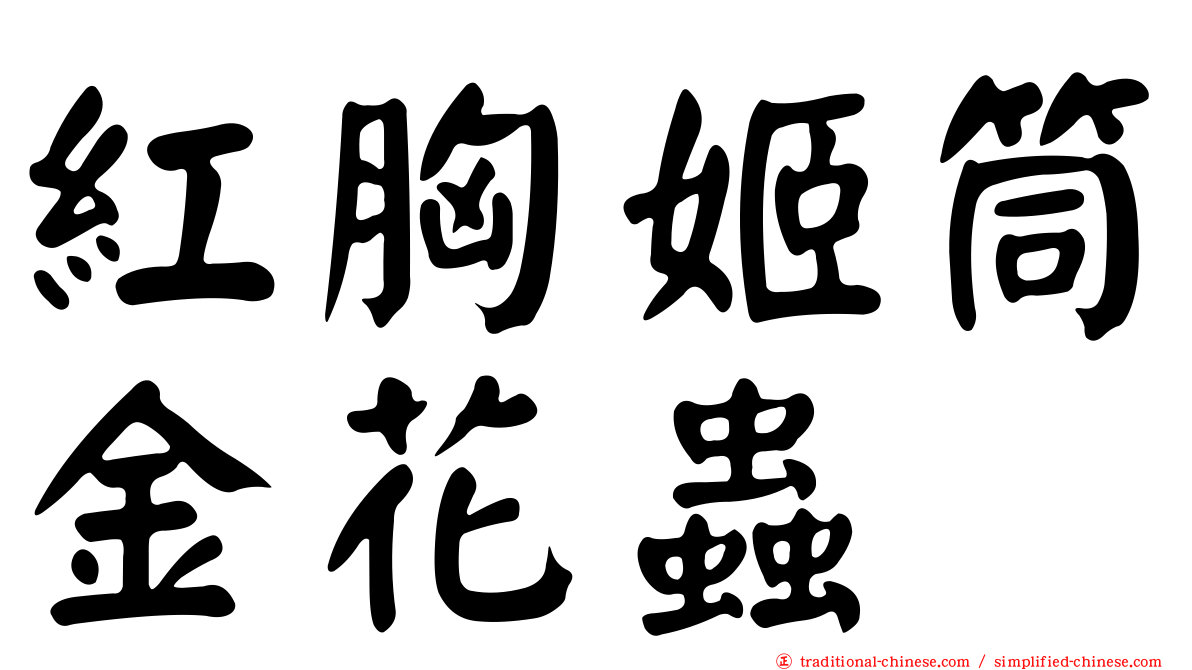 紅胸姬筒金花蟲