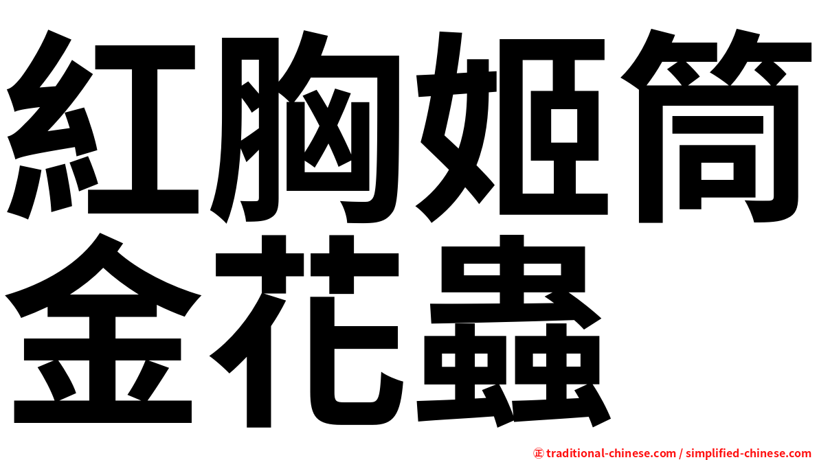 紅胸姬筒金花蟲