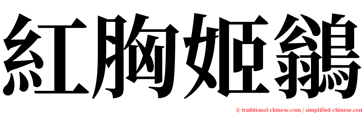 紅胸姬鶲 serif font