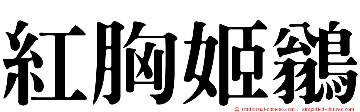 紅胸姬鶲