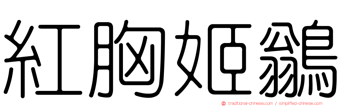 紅胸姬鶲