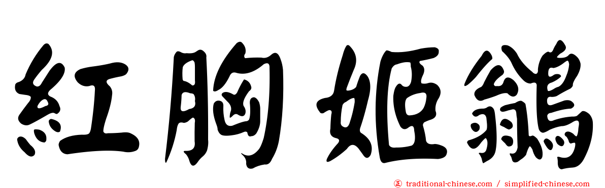 紅胸姬鶲