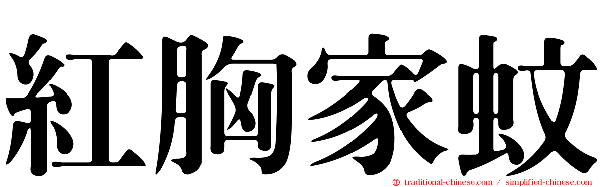 紅胸家蚊