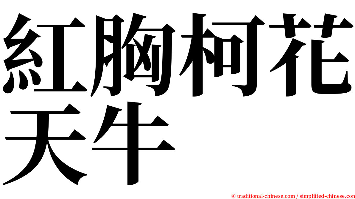 紅胸柯花天牛 serif font