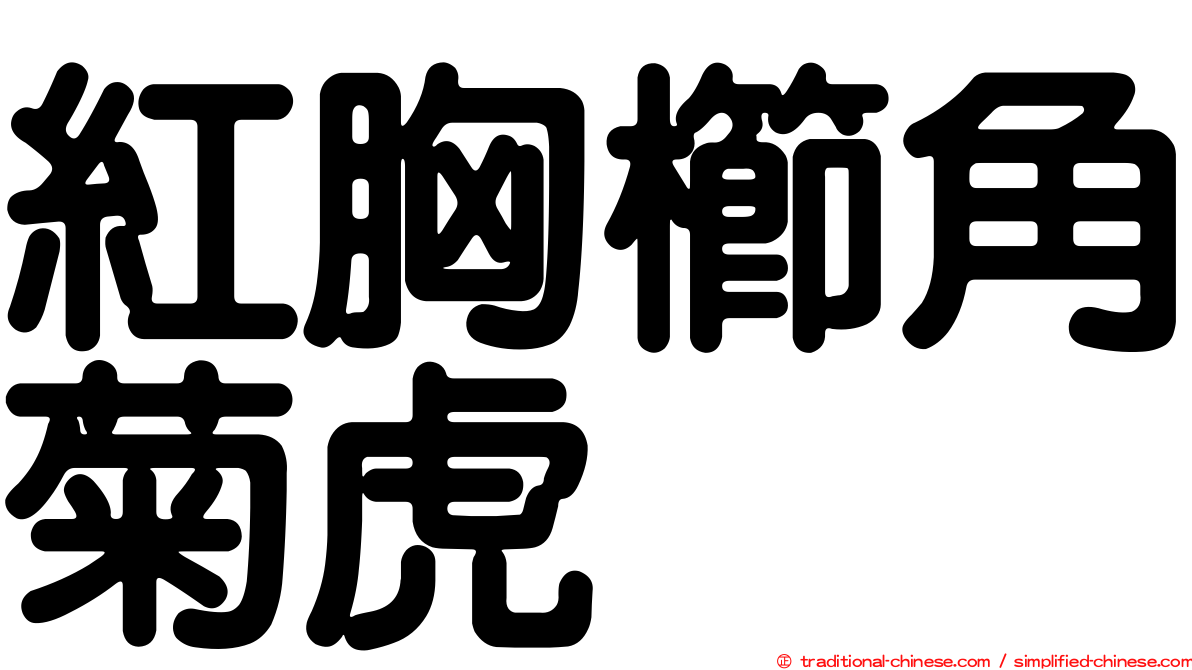 紅胸櫛角菊虎